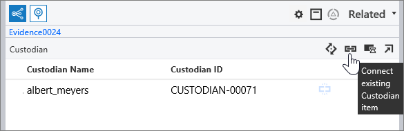 Related pane showing the Connect existing entity item button on the toolbar.